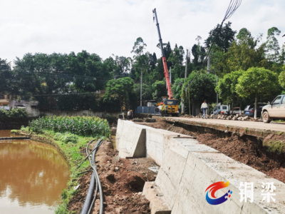 加快建设出境公路，白羊镇以树木种植破解发展瓶颈