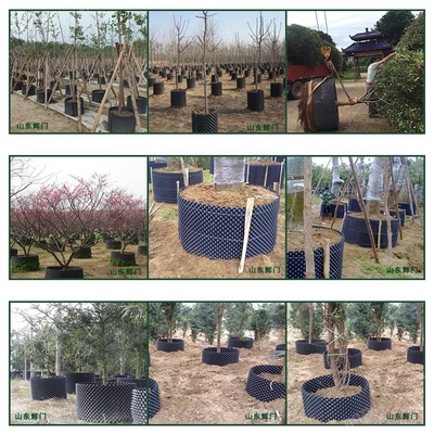 江西大型农场栽花种植控根器与树木控根容器的应用